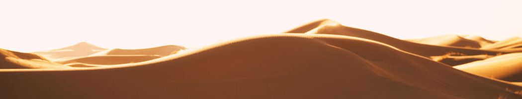 Privacy policy 1 POLITICA